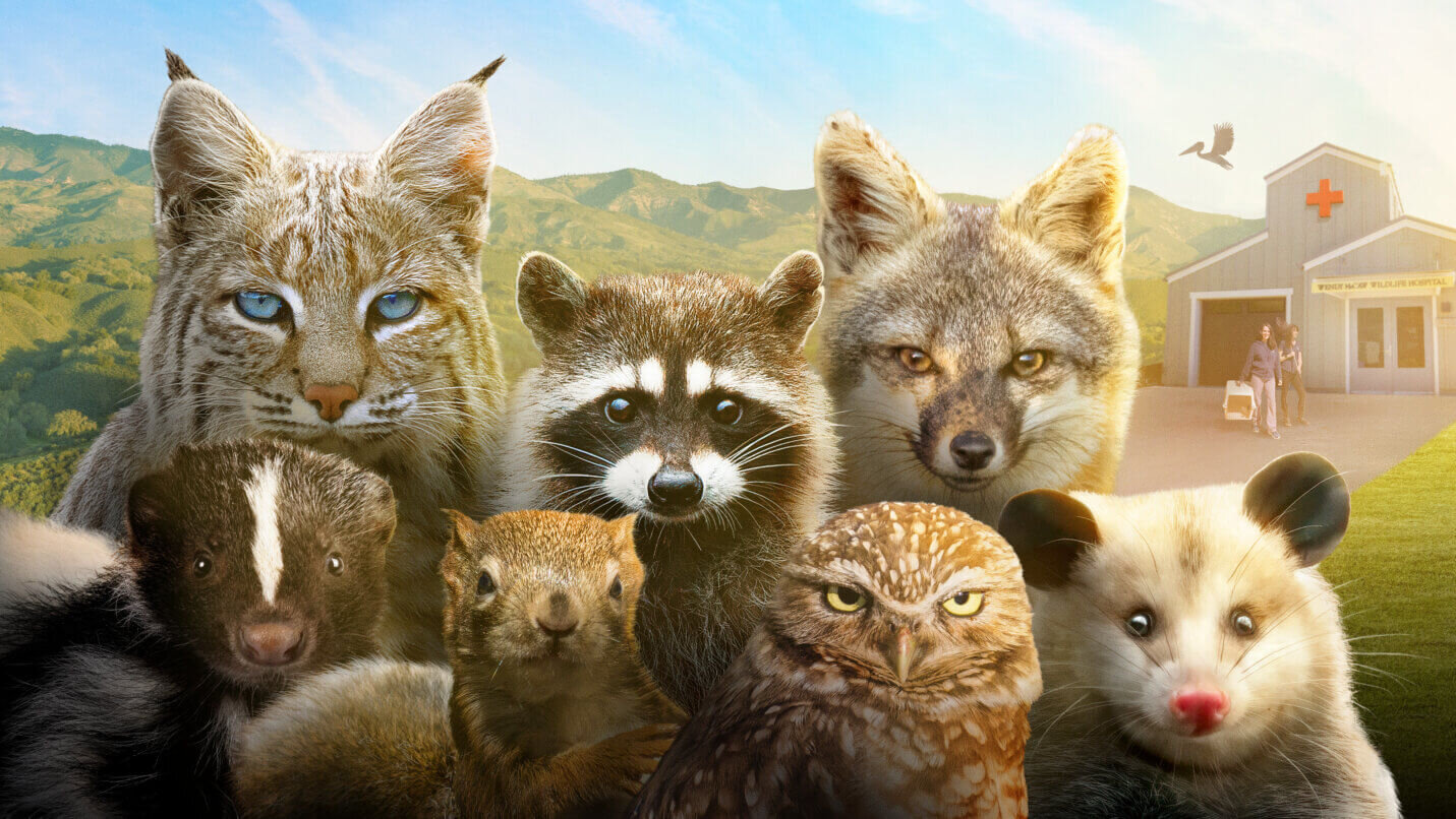 Fin01 Wildrescue 33 Horizontal 14x48 Fbnt Scaled E1774534096676 Txzeae