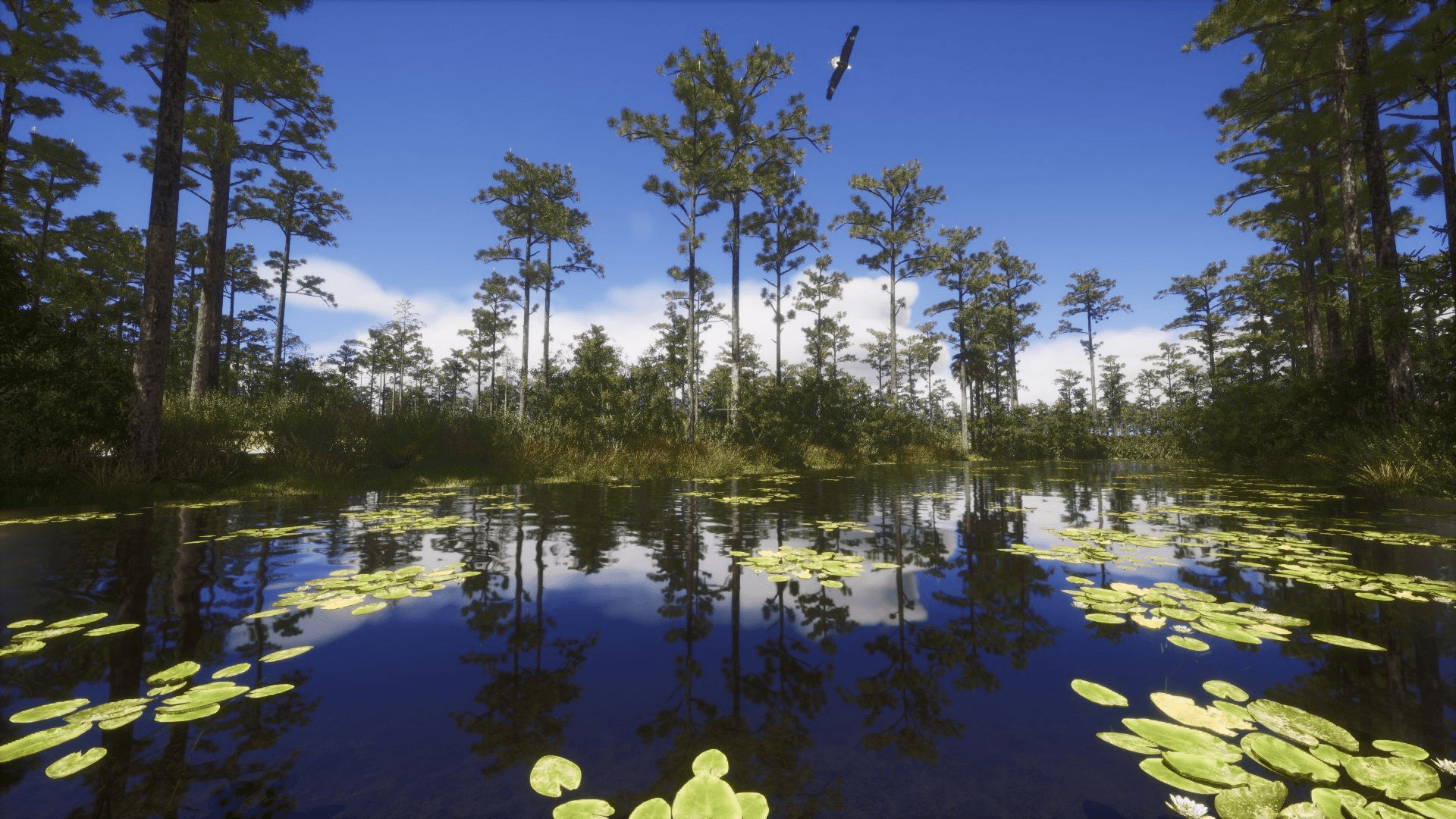 Screenshot of UCF Virtual Arboretum software, featuring a pond, trees, and an eagle