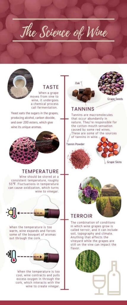 The Science Of Wine 2023 Infographic image