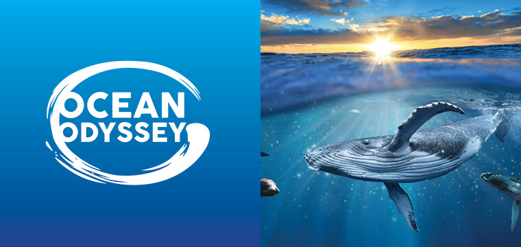 Oceanodyssey 02