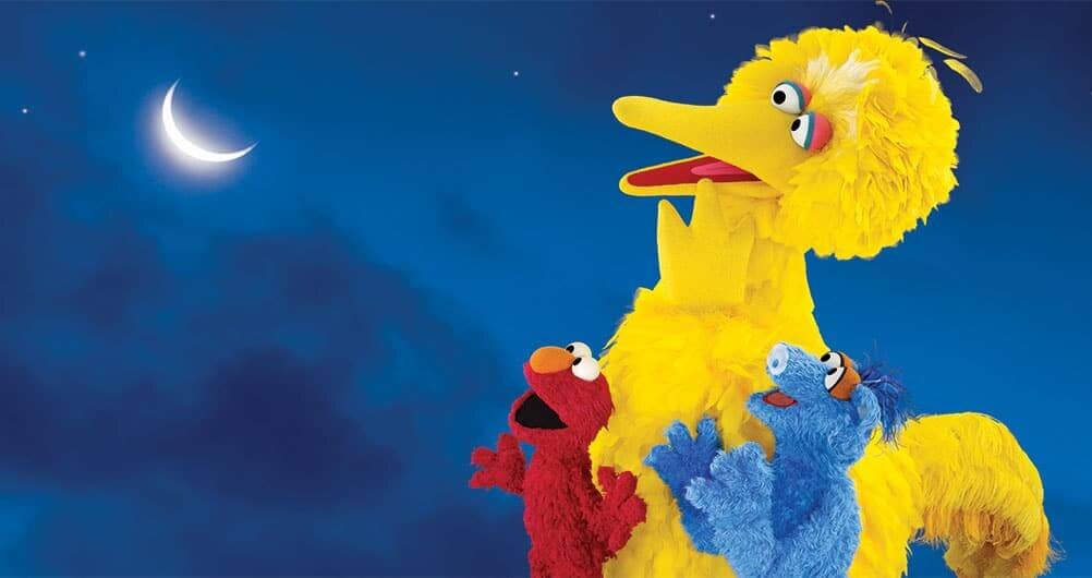 Oneworldonesky Big Bird Slide 1 E1785175807890 Ou6lyx