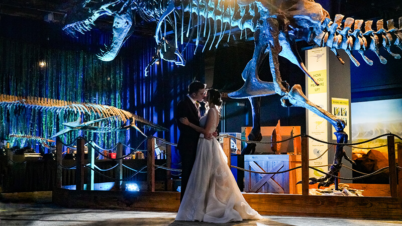 Weddings-in-DinoDigs-2026_800x450 Weddings In DinoDigs 2026 800x450
