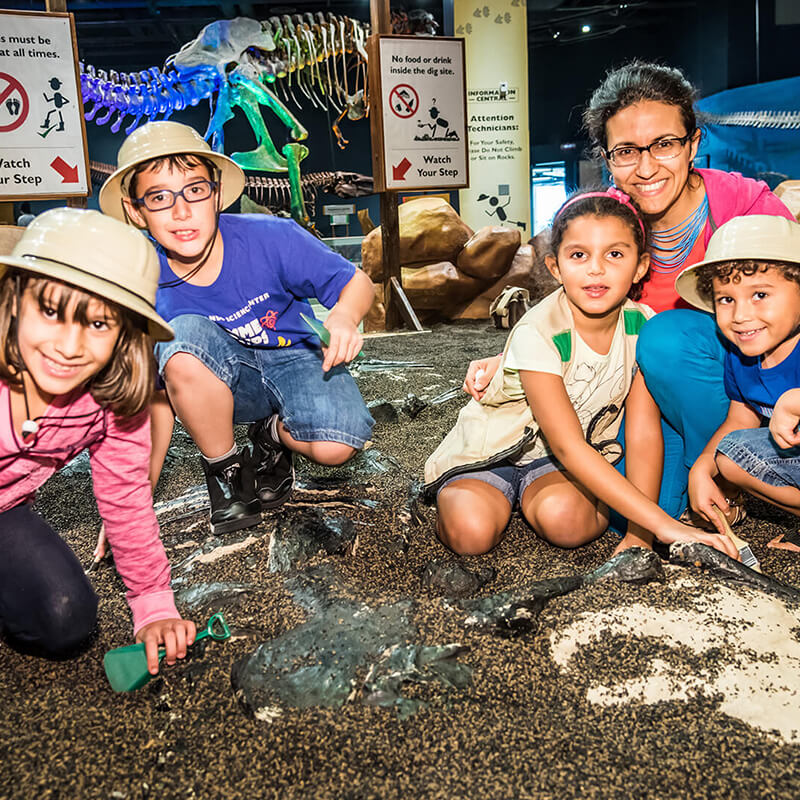 DinoDigs Family Activity 